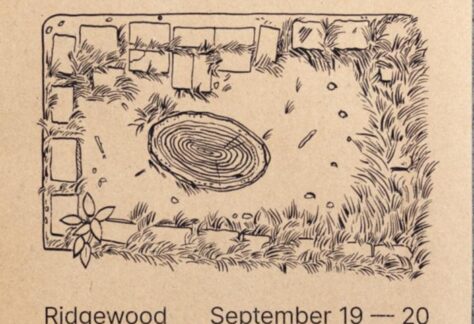Poster for Fallow Frames Biennial 2026 featuring a drawing of a tree stump surrounded by empty tree beds, event details, dates September 19–20, Ridgewood Queens, and social media links on a brown background.